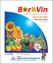 borovin