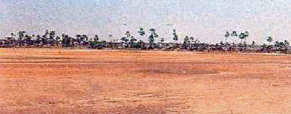 barren saline infested marshy land